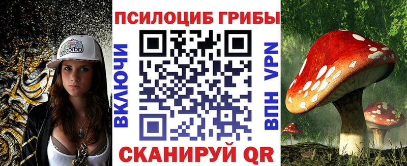 Галлюциногенные грибы Psilocybine cubensis Кологрив